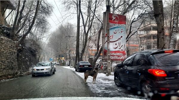 بارش نعمت‌های خداوند در آسمان مشهد