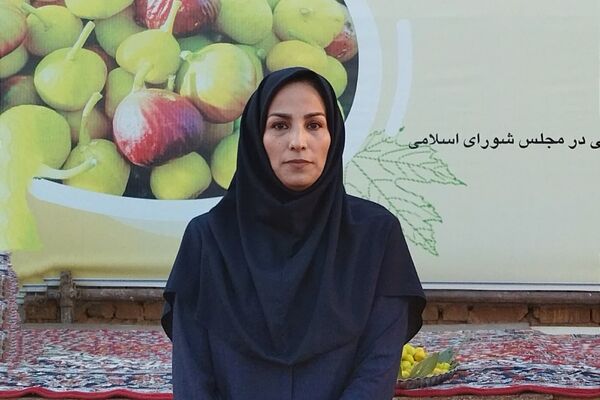 انجیر بخشی از هویت فرهنگی و اقتصادی شهرستان است