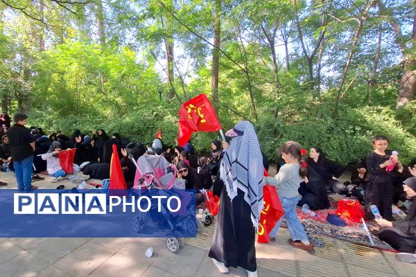 مراسم راهپیمایی جاماندگان اربعین حسینی در شیراز