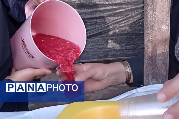 شور عزای  تاسوعای حسینی در لپویی 