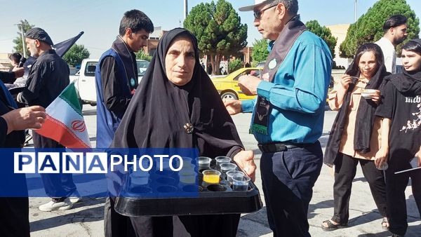 پیاده‌روی جاماندگان اربعین در یاسوج