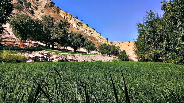 طبیعت روستای بارز، طبیعتی زیبا در دل استان چهارمحال‌وبختیاری 