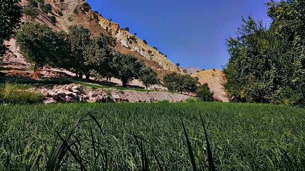 طبیعت روستای بارز، طبیعتی زیبا در دل استان چهارمحال‌وبختیاری 