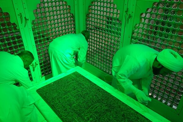 آیین غبارروبی ضریح مطهر امامزاده سید حمزه (ع)