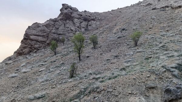 سیزده بدر باستانی در روستای زیارتی و سیاحتی سوقند 