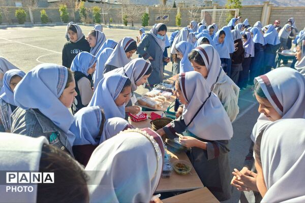 بازارچه دانش‌آموزی در دبستان ظریف کار فرد 2 شیراز