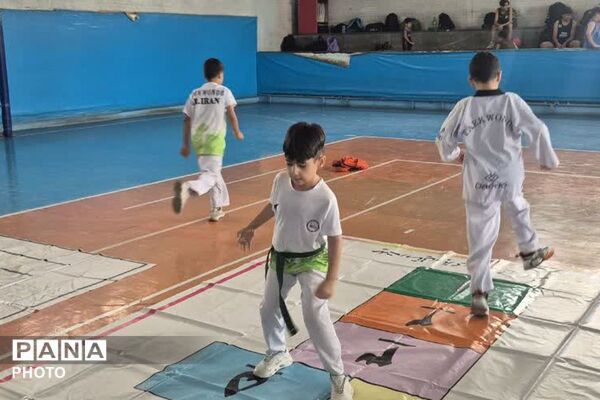 برنامه و فعالیت های ورزشی تابستان ۱۴۰۵ با عنوان میدان پویا