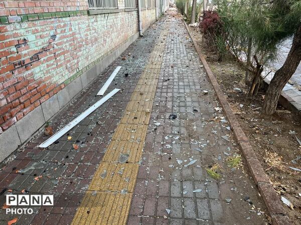 نیمکت‌های خالی، روایت‌های جهانی