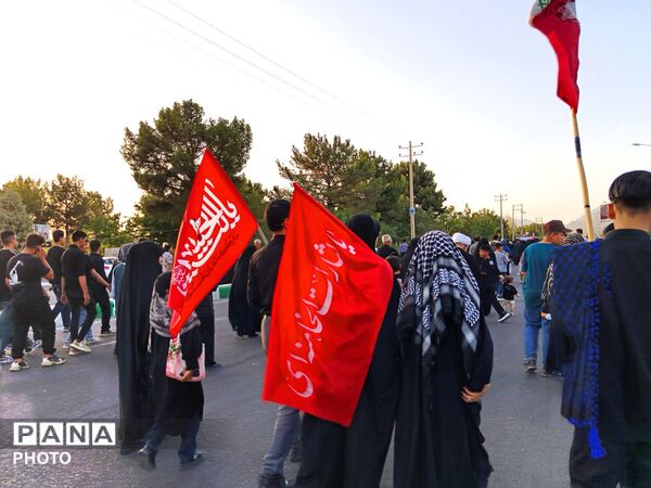 قدم های اربعین، این بار به عشق ایران