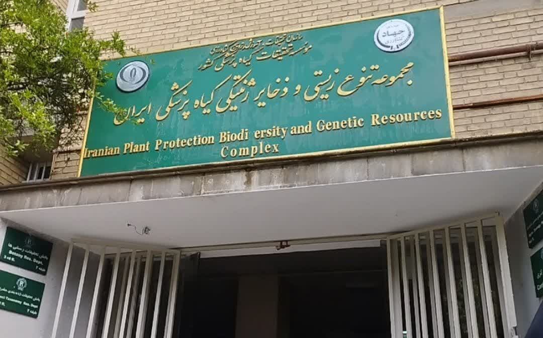  استفاده صحیح از کشاورزی نیاز به مطالعه دارد