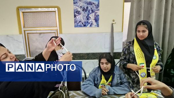 طرح اردوی تمشک در شهرستان دنا