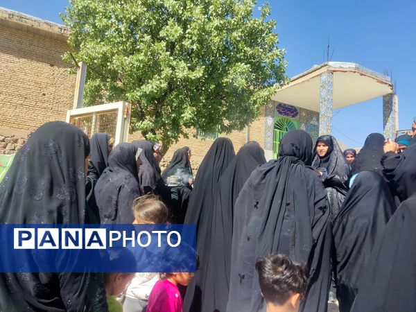 قاب های ماندگار از روستای شیاسی در استقبال از پرچم متبرک حرم امام حسین(ع)