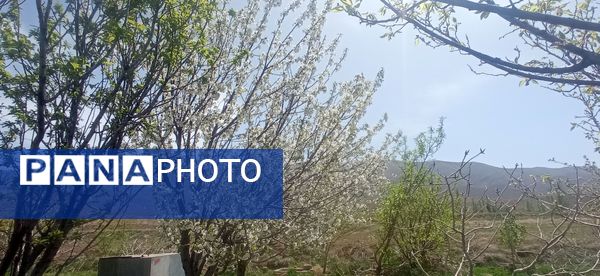 طبیعت بی نظیر روستا سربالا بهترین گزینه برای طبیعتگردی در فصل بهار