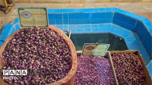 آخرین روزهای فصل گلاب‌گیری در کاشان؛ از دیگ‌های مسی تا شیشه‌های گلاب