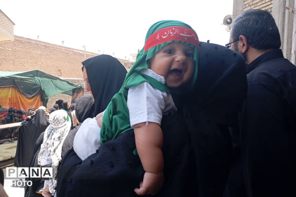 میعادگاه شیرخوارگان حسینی در نی‌ریز