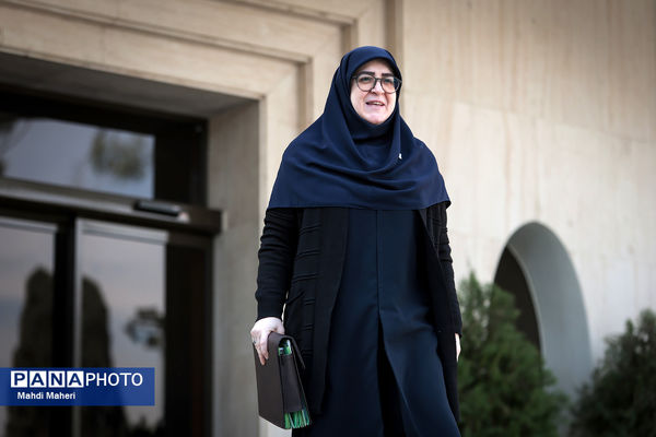 حاشیه جلسه هیات دولت