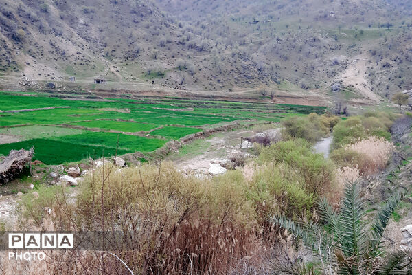 طبیعت دِراز‌رود؛ زیباترین تابلوی سبز لردگان