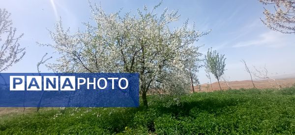 طبیعت بی نظیر روستا سربالا بهترین گزینه برای طبیعتگردی در فصل بهار