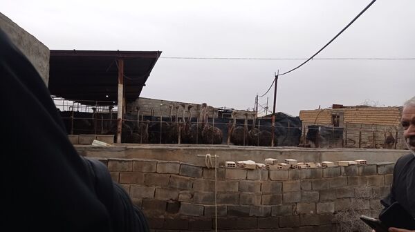 اردو راهیان پیشرفت در خلیل آباد