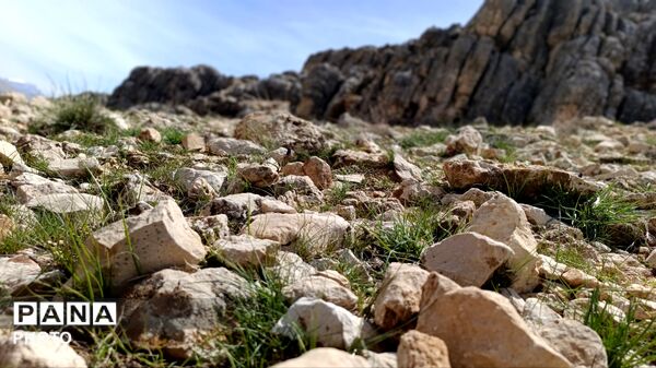 بردنکان؛ یکی دیگر از جاذبه های گردشگری روستای ده‌چشمه