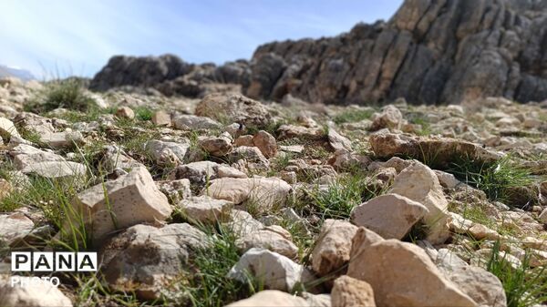 بردنکان؛ یکی دیگر از جاذبه های گردشگری روستای ده‌چشمه