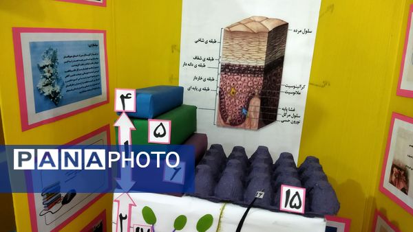 افتتاح نمایشگاه جابربن‌حیان در دبستان شهید احمدپور قائمشهر