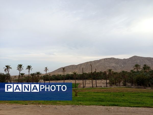 روز طبیعت در خانه‌ای کوچک و دلنشین بی‌‌بی گل و آقا جان