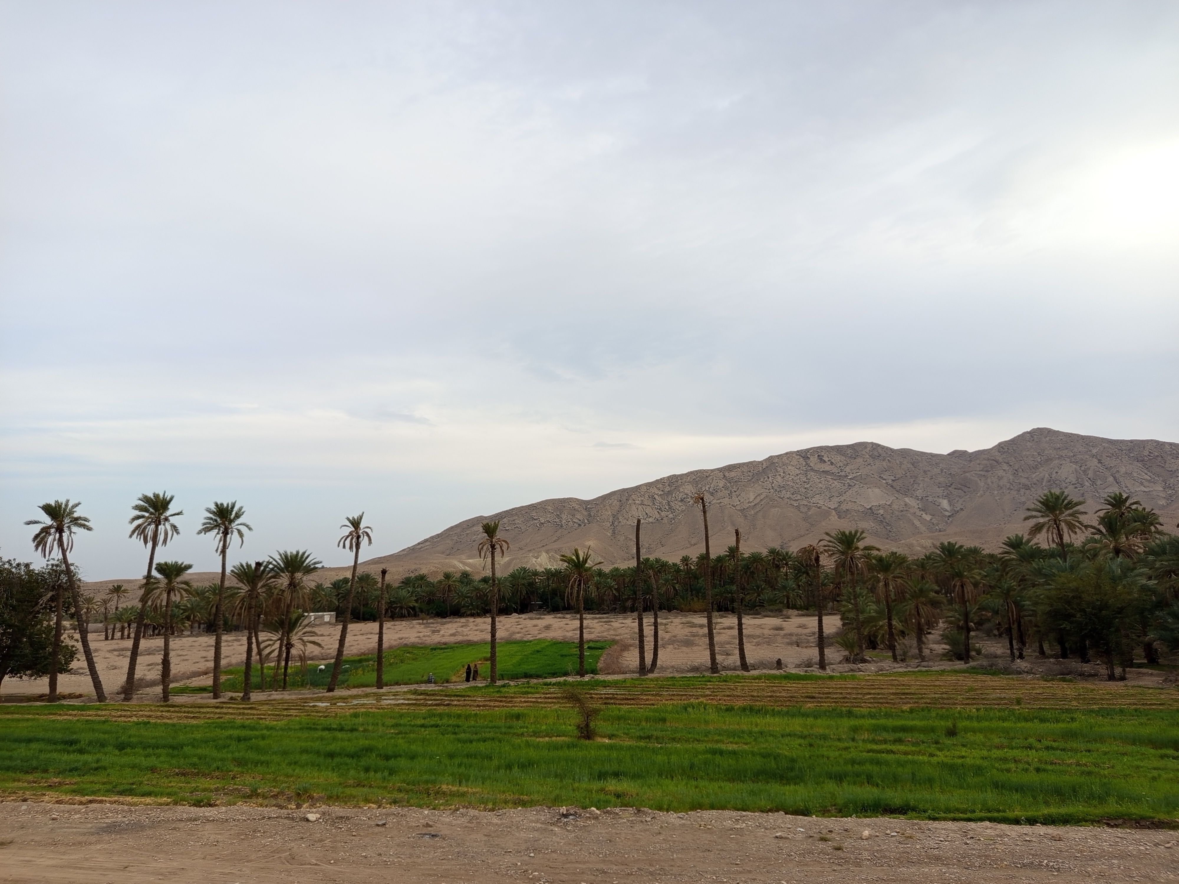 روز طبیعت در خانه‌ای کوچک و دلنشین بی‌‌بی گل و آقا جان