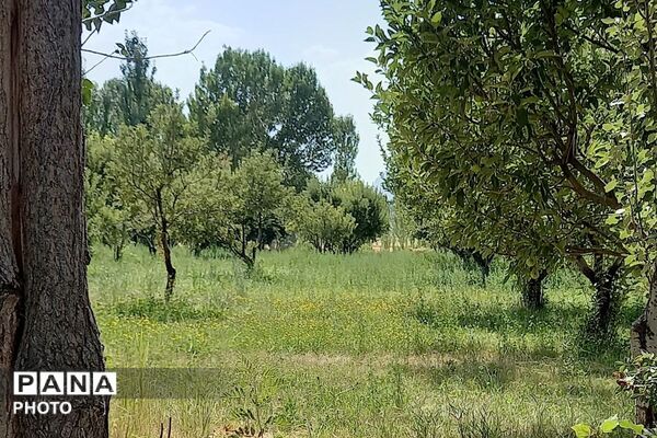 قاب‌هایی از آرامش در روستای ولیان