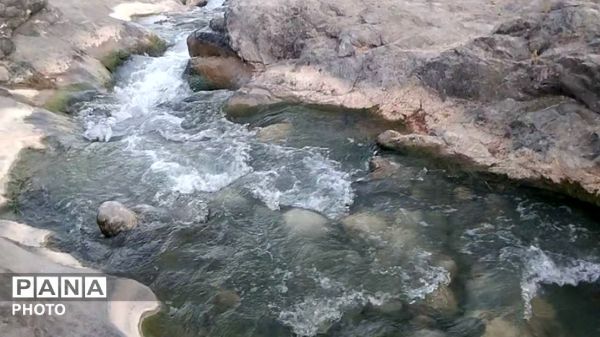 سمفونی رنگ‌ها در دامنه‌های گرین؛ سفری به دیار کهن الشتر