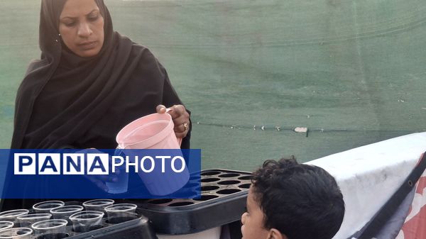 آیین سنتی تعزیه‌خوانی روز عاشورا در میناب 