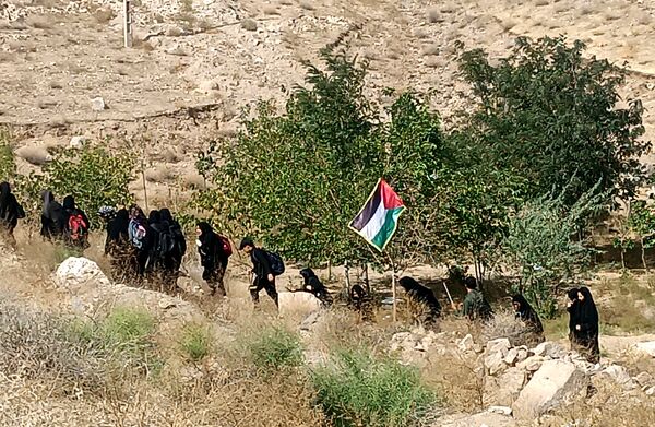 گام هایی از جنس عشق به امام رضا (ع)