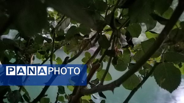 باغ بهادران؛ بهشت کوچکی در اصفهان