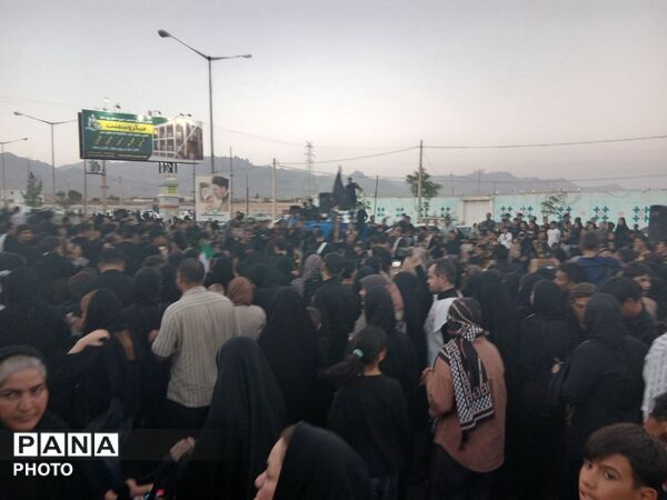 قدم هایی در راه سیدالشهدا