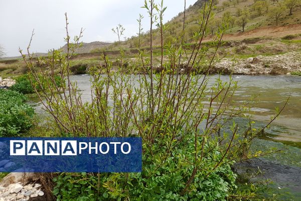 بهار، آغاز دوباره‌ی زندگی طبیعت 