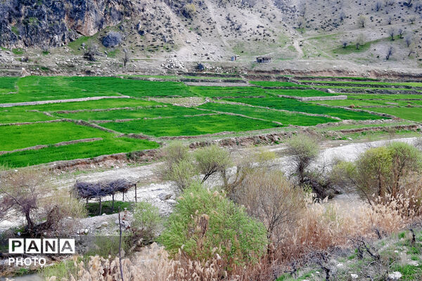 طبیعت روستای بیدله به هنگام بهار