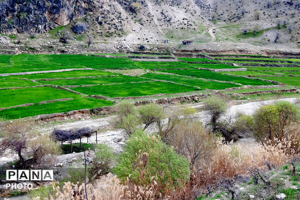 طبیعت روستای بیدله به هنگام بهار