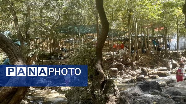 جاذبه‌های طبیعی «شهر کرد» به روایت خبرنگار پانا