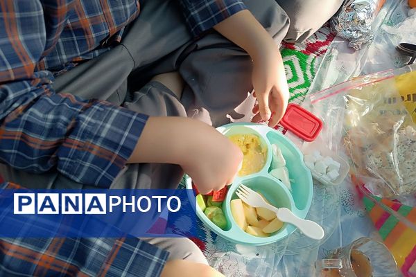 برگزاری صبحانه سلامت در دبستان علامه طباطبایی پیشوا