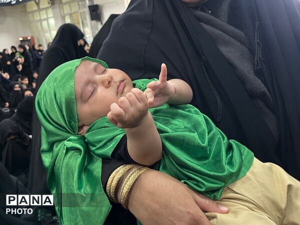 همایش بزرگ شیرخواران حسینی در کاشمر   