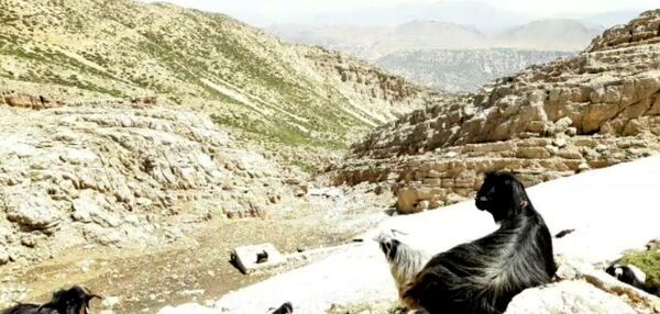  سرزمین عشق در دل سختی‌ها