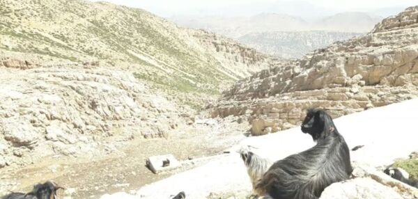  سرزمین عشق در دل سختی‌ها
