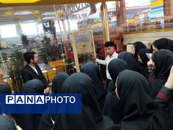 اردوی علمی‌تفریحی دانش‌آموزان دبیرستان میعاد قم در شهر کهک