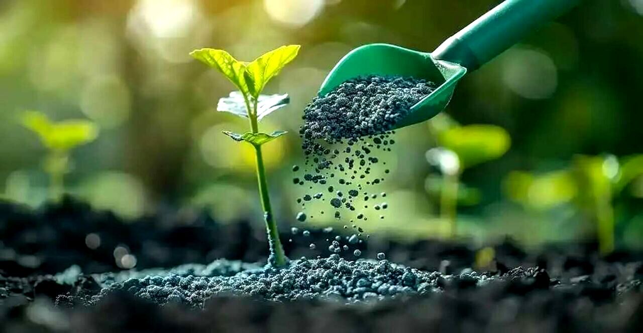 توزیع گسترده ۵۷ هزارکیسه کود اوره یارانه‌ای دراستان تهران