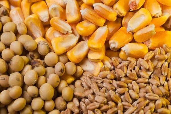 مطالبات واردکنندگان نهاده‌های کالاهای اساسی در کارگروه وزارت اقتصاد بررسی می‌شود