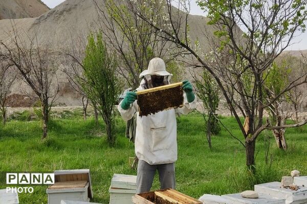 حال و هوای شهر بار نیشابور در فصل زیبای بهار