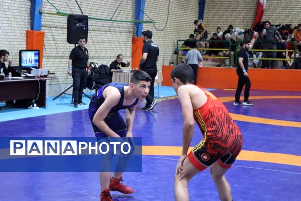 قهرمانی نونهالان و نوجوانان رباط‌کریم در رقابت‌های کشتی