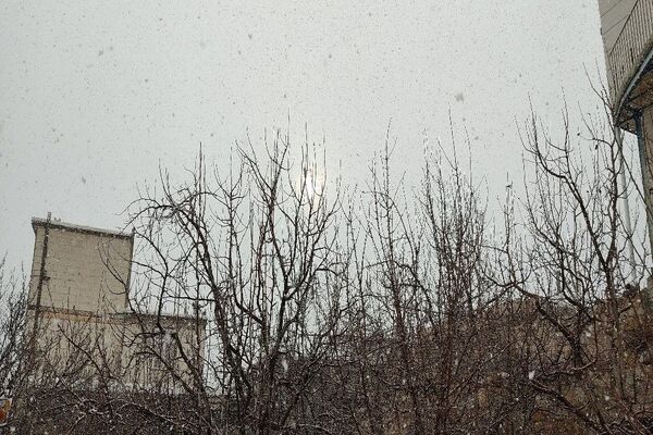 شروع اولین بارش برف زمستانی در بهمن ماه ۱۴۰۳ در شهر زیبای با‌ر