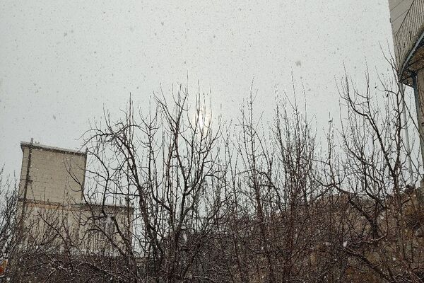 شروع اولین بارش برف زمستانی در بهمن ماه ۱۴۰۳ در شهر زیبای با‌ر