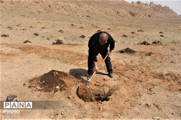 اجرای نهمین پویش درختکاری با حضور اصحاب رسانه در قم